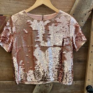 Never worn sequin top